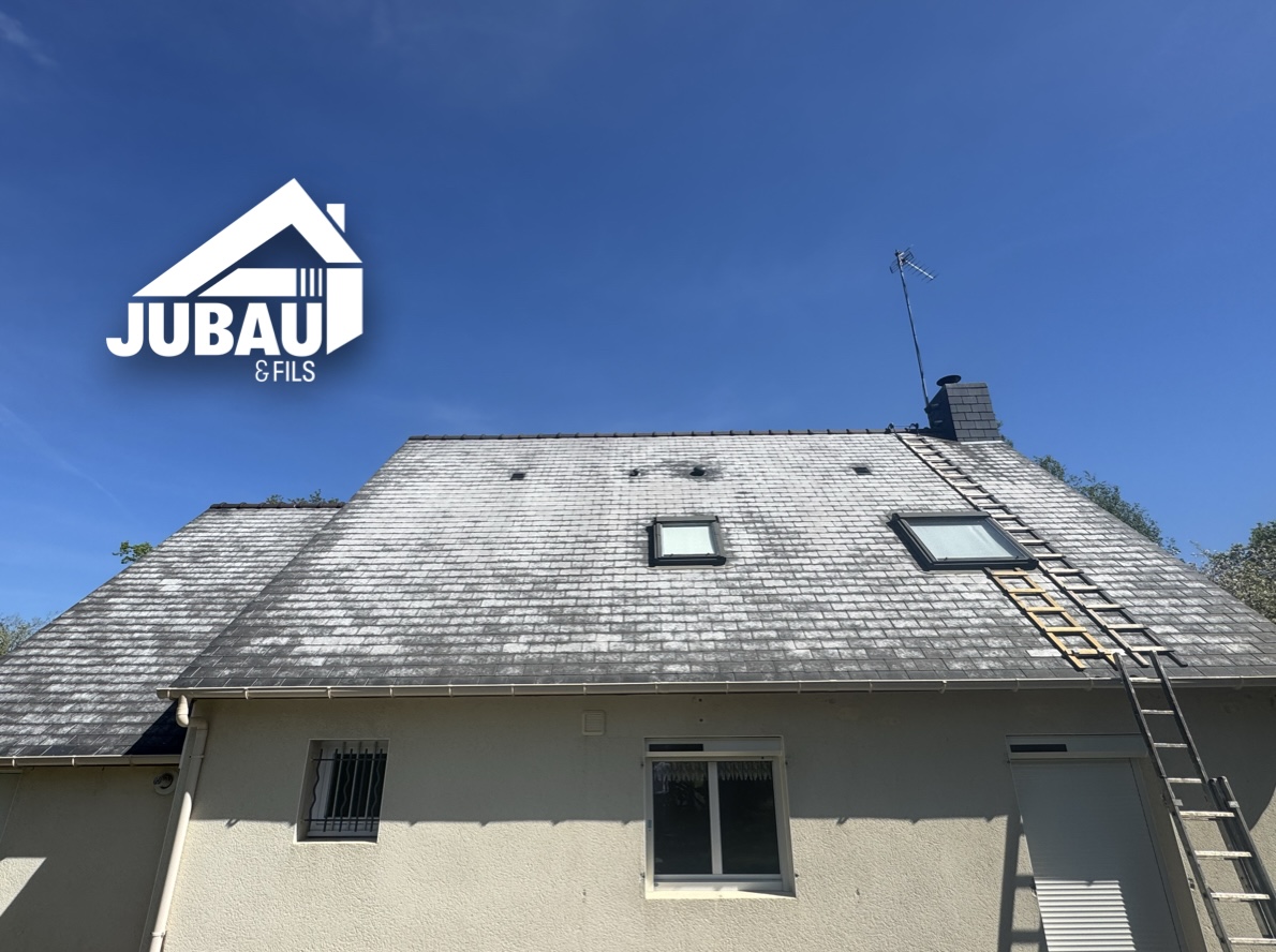 IMG_1536 hydrofuge-toiture-saint-nazaire-avant.jpg