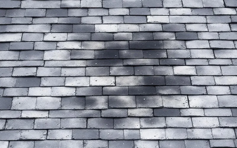 Jubau_et_fils_toiture_traces_noires