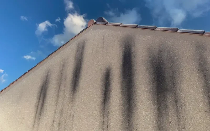 tâches_noires_façade_jubau_et_fils